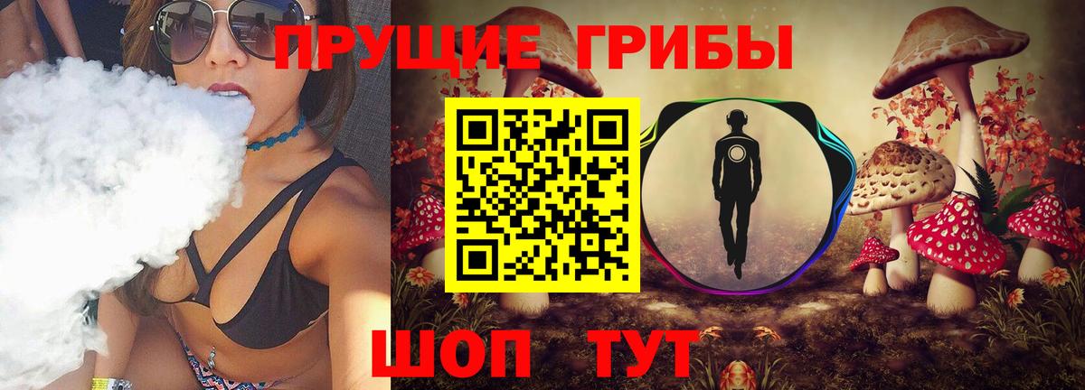 купить наркотик  Псилоцибиновые грибы мухоморы  Вход с VPN  Магадан 