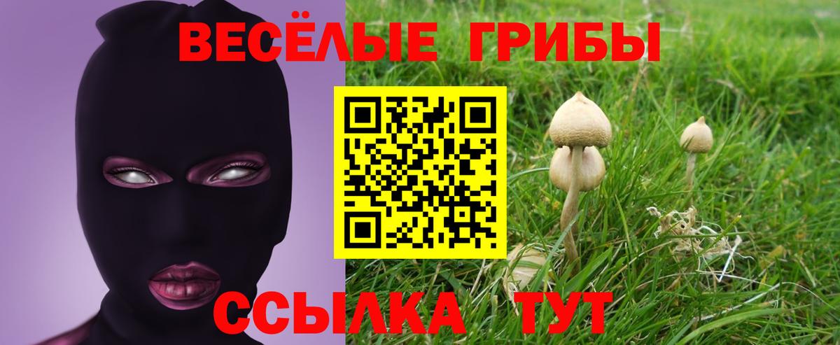 Псилоцибиновые грибы GOLDEN TEACHER Магадан
